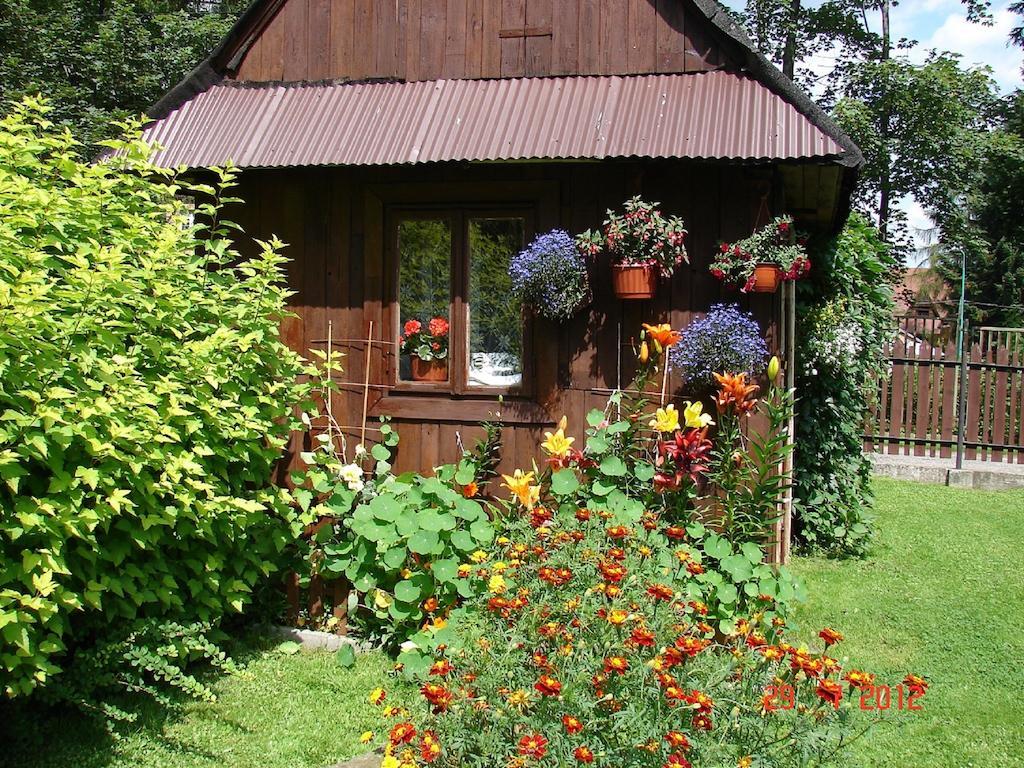 Modrzew Zakopane