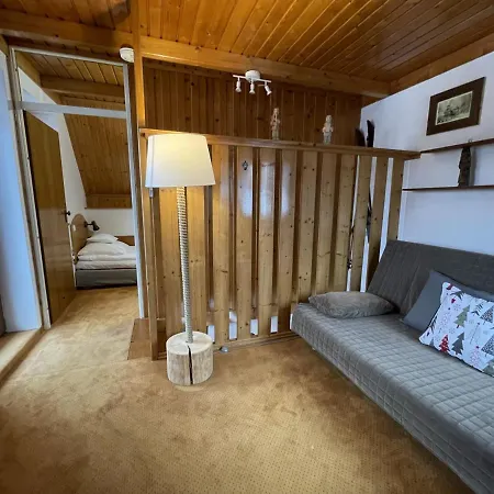Modrzew Apartment Zakopane Exterior photo