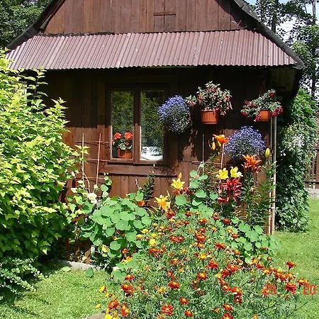 Modrzew Apartment Zakopane Exterior photo